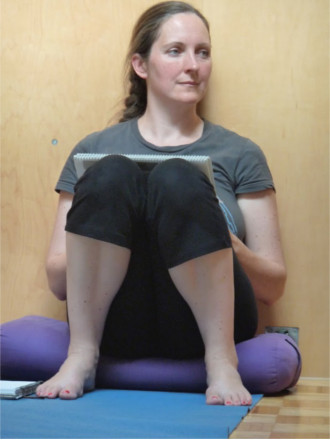 Yoga Teacher Trainings Seattle